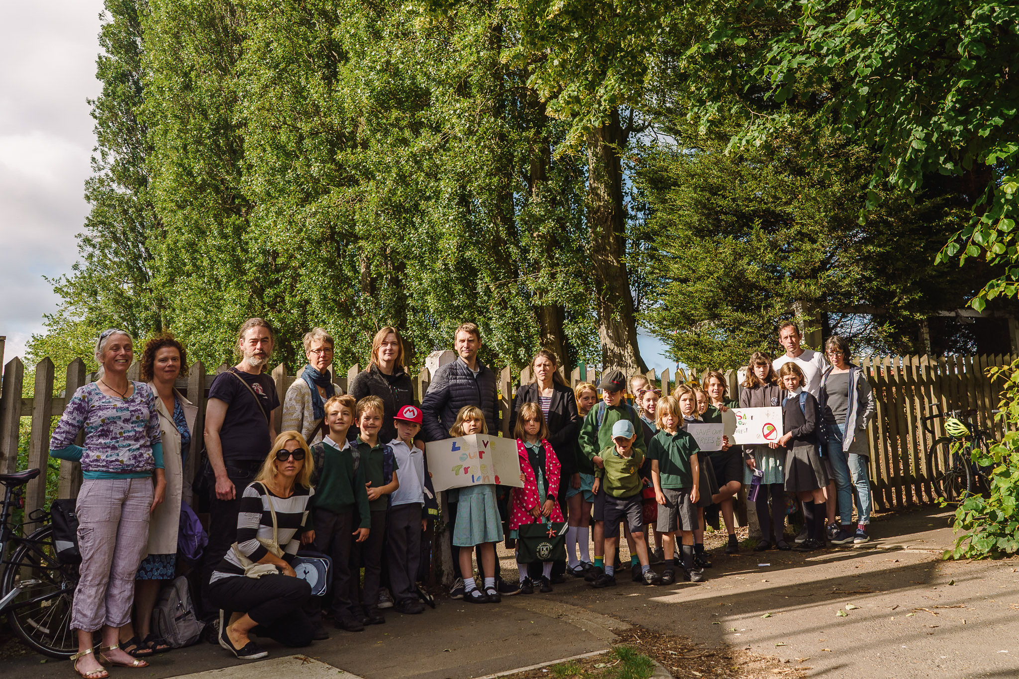 Schoolchildren join protest against plans to fell row of 18 trees in York